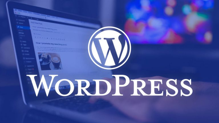 WordPress Revisions Not Showing: Here’s How To Solve It