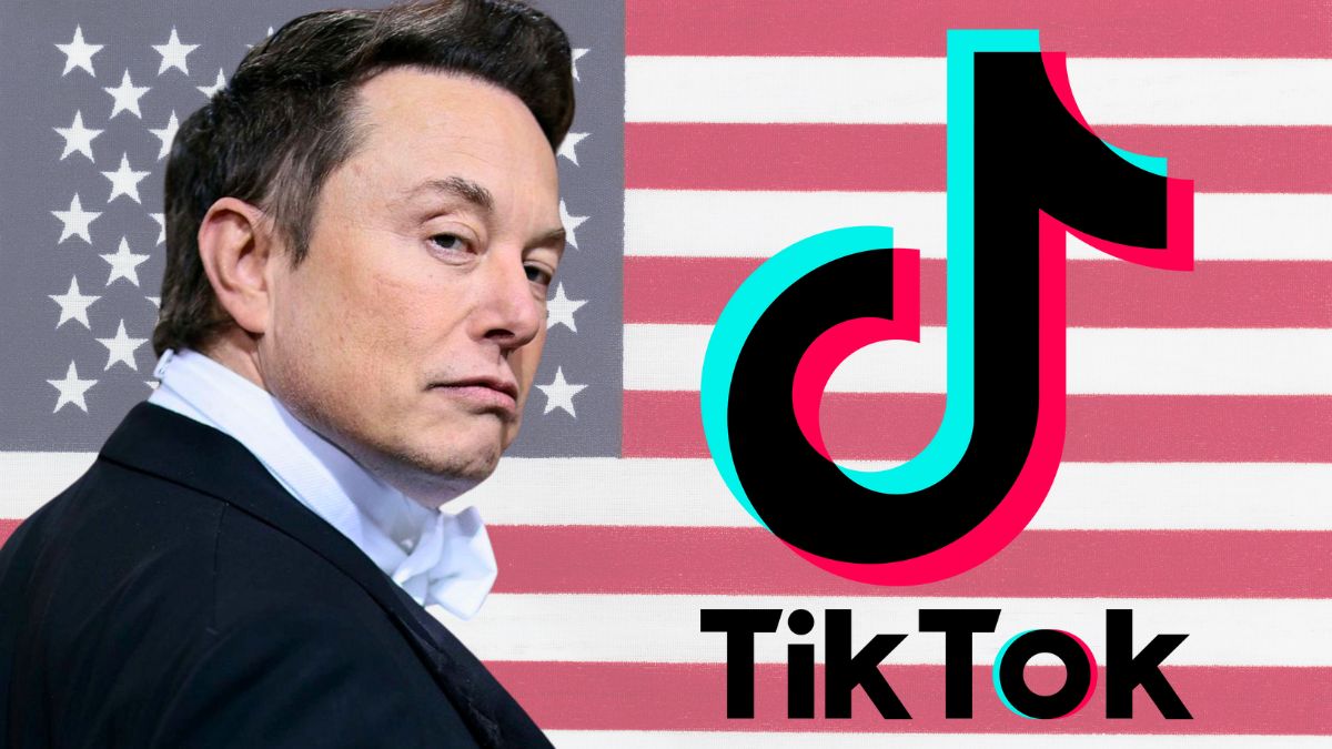 musk tiktok