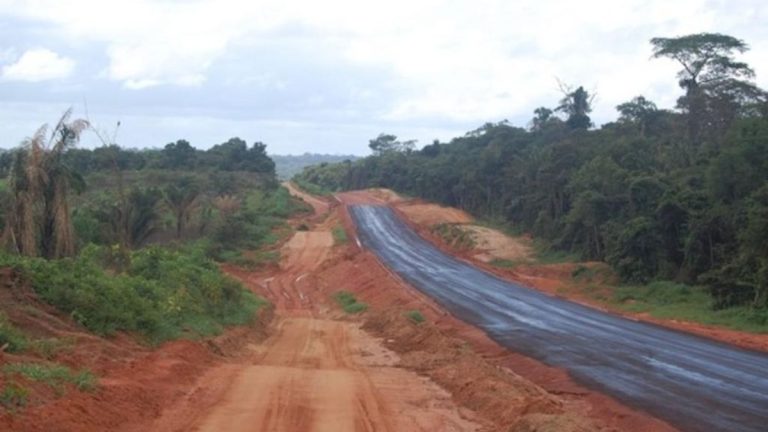 Amazon Rainforest Cut Down to Build Road for Climate Summit