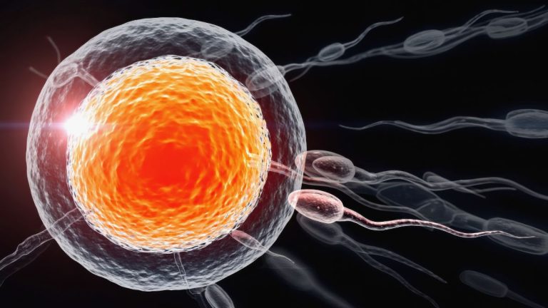Artificial Intelligence Revolutionizes Fertility Treatments As First Babies Are Born