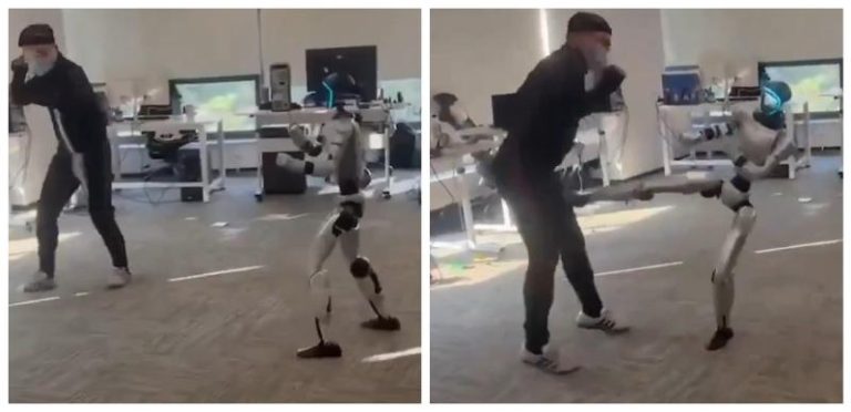 Combat Sports With Robots Might Be A Bad Idea