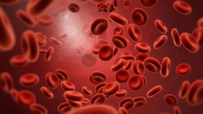 Artificial Blood Designed For Robotic Arms