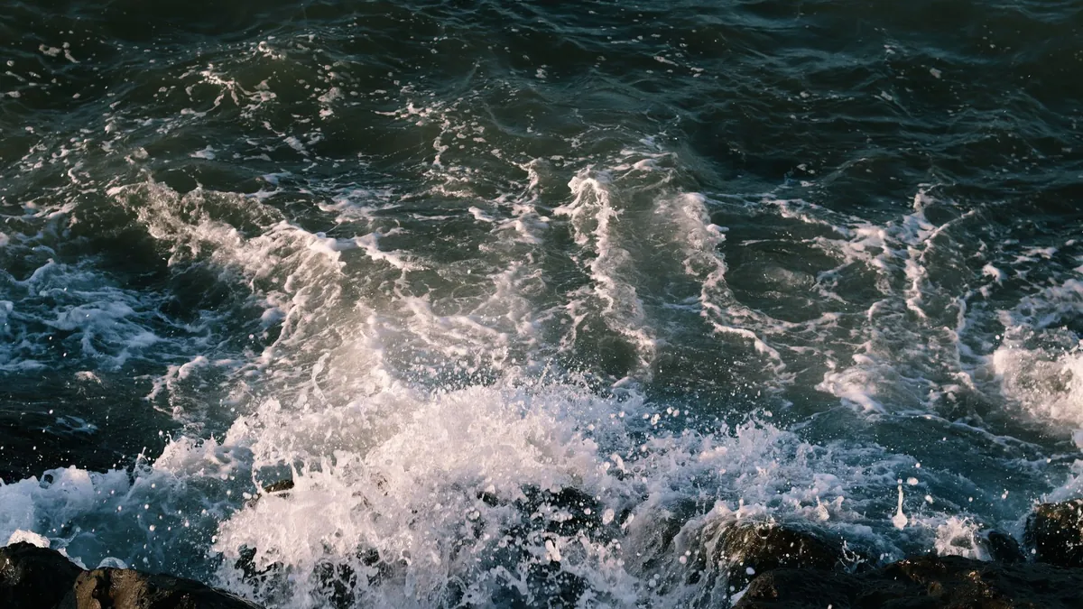 Autonomous Naval Collision Avoidance System Malfunction