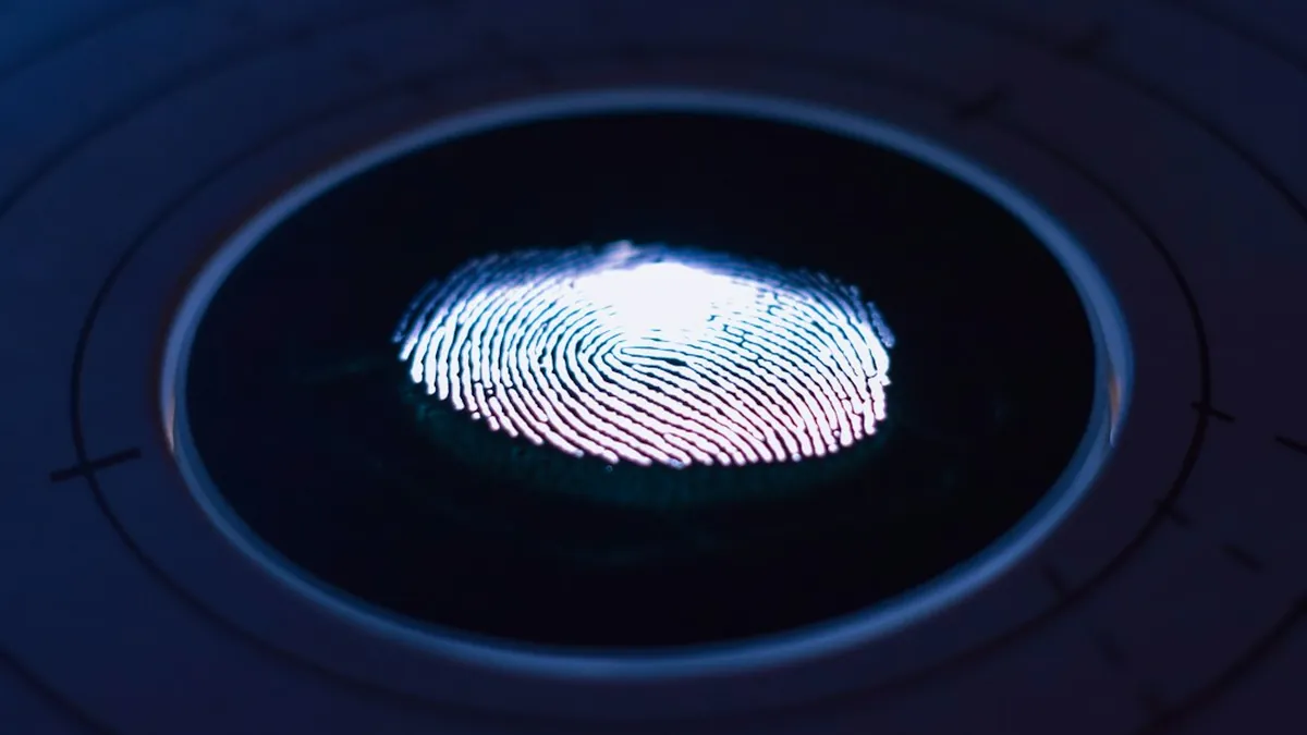 Biometric Identification Systems Enhanced by Deep Learning Models