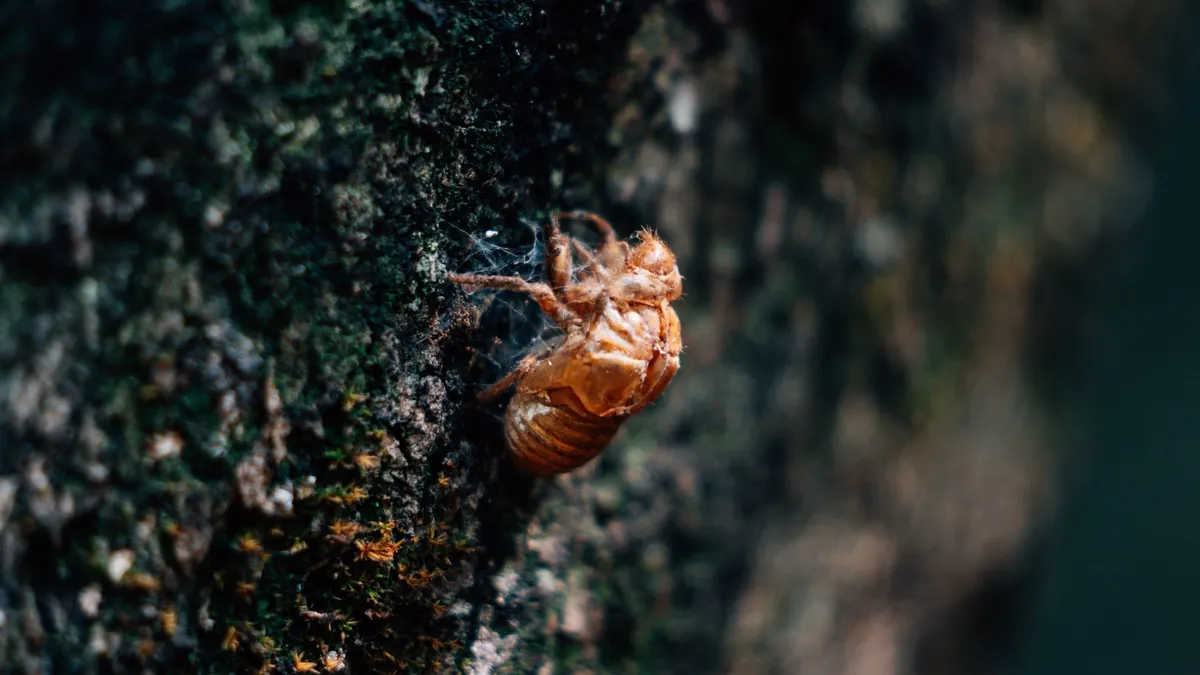 FORTIS Exoskeleton