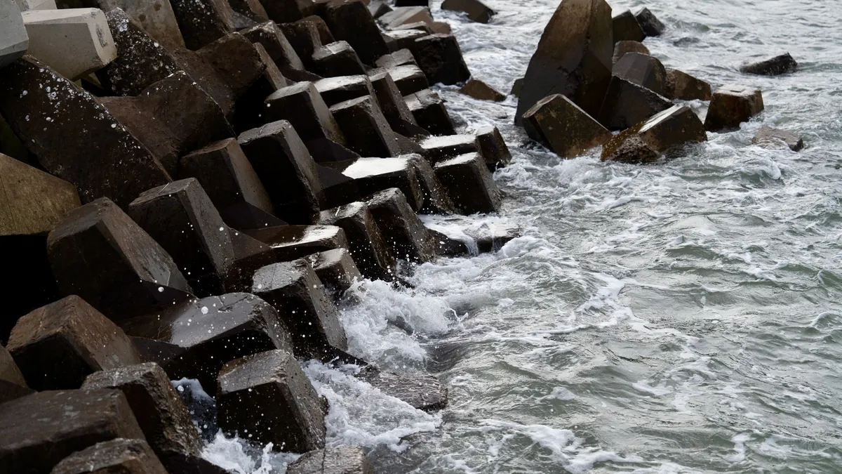 Integrated Coastal Defense Array