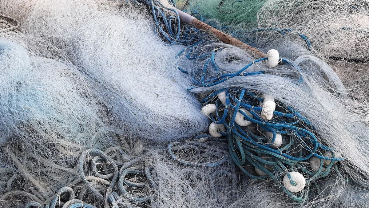 Kinetic Interception Nets