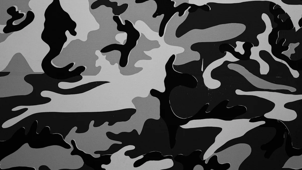 Modular Adaptive Camouflage Systems for Dynamic Environments