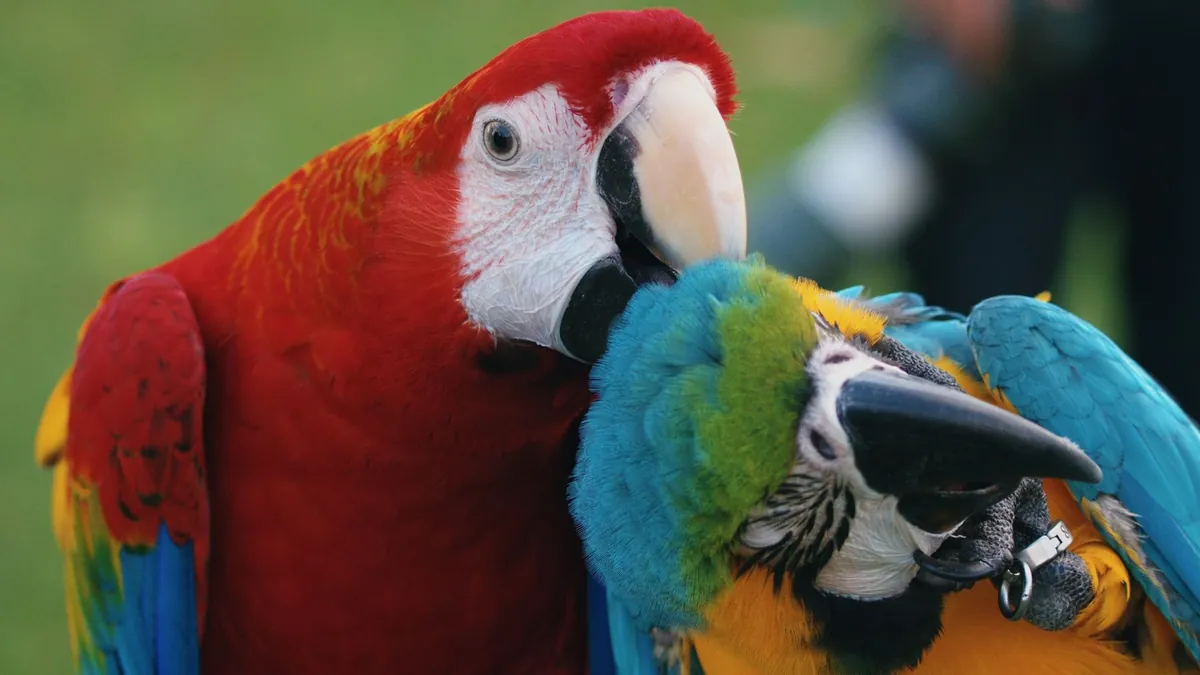 Parrot Anafi AI – Stealth