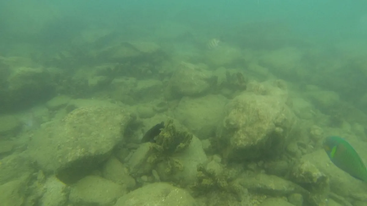 Seafloor