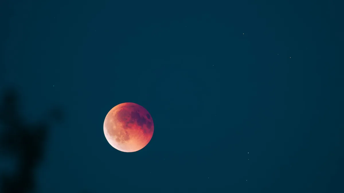 Transient Lunar Phenomena